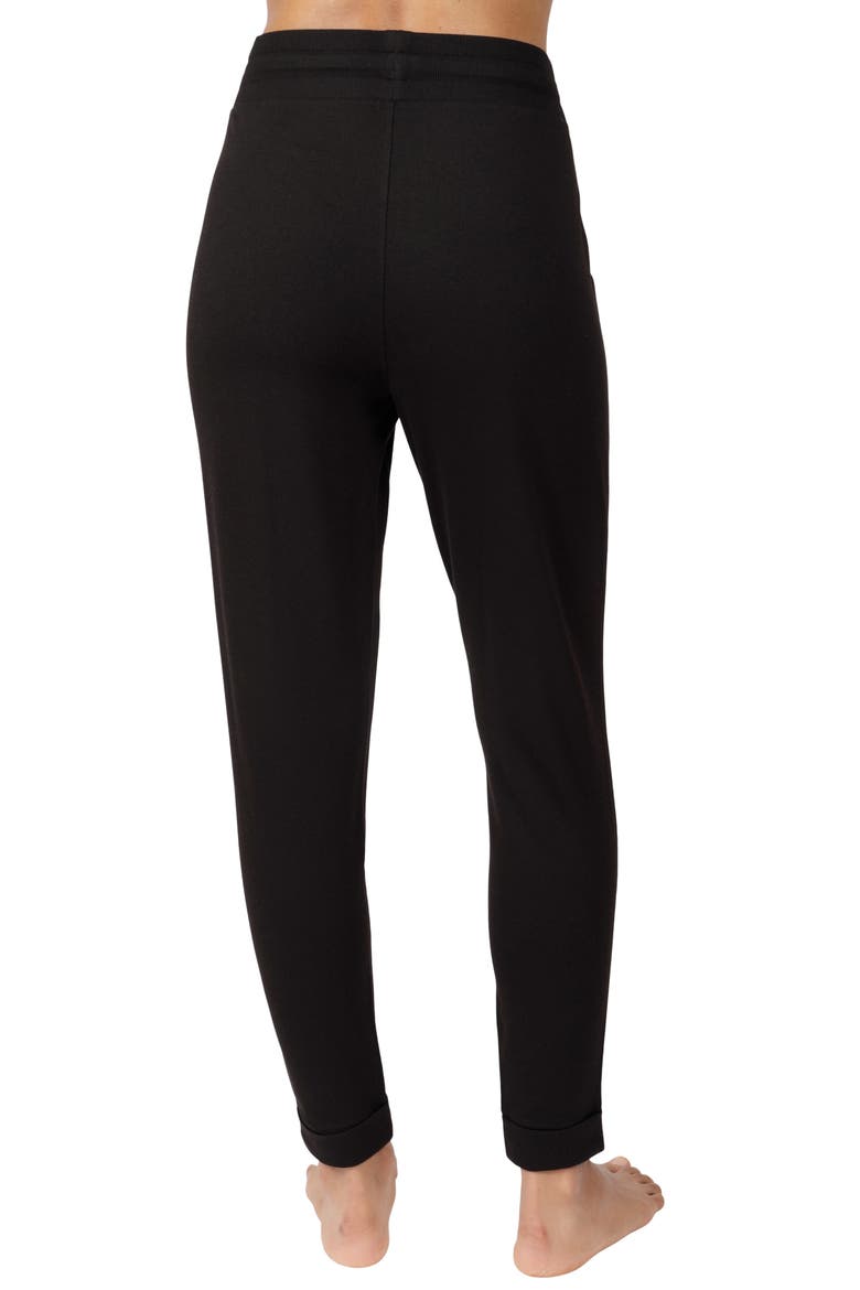 Terry Brushed Fleece Lined Jogger, Alternate, color, BLACK