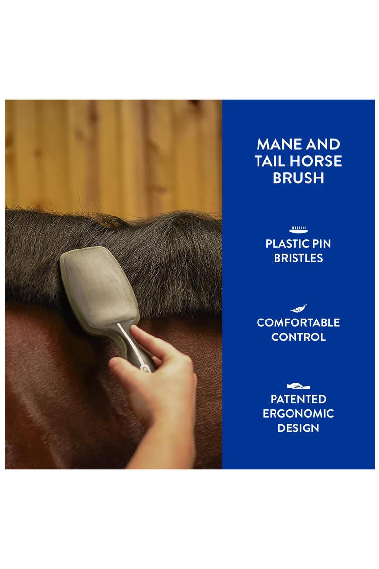 Equine grooming tool for horses, Alternate, color, Black