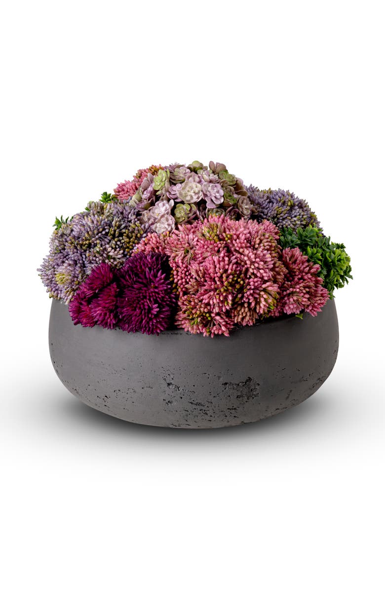 CocoBella Georgina Sedum Arrangement, Main, color, Charcoal