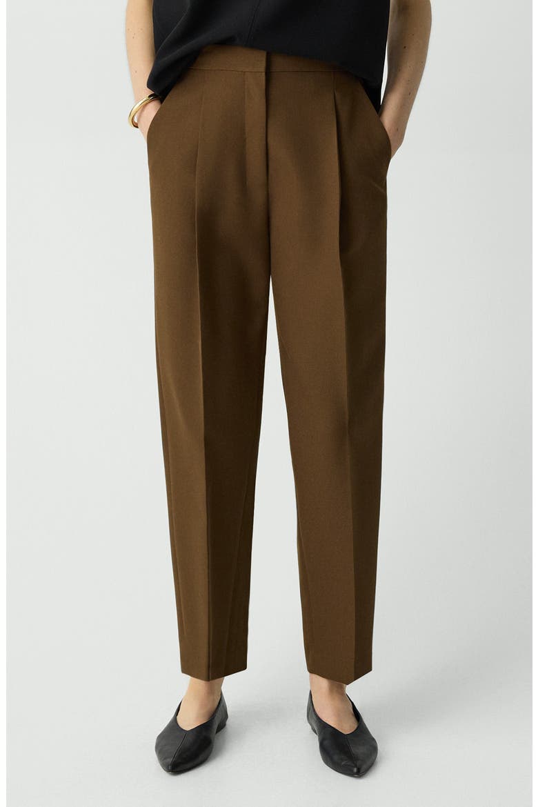 Wool Blend Pleated Pants, Main, color, CLOVE
