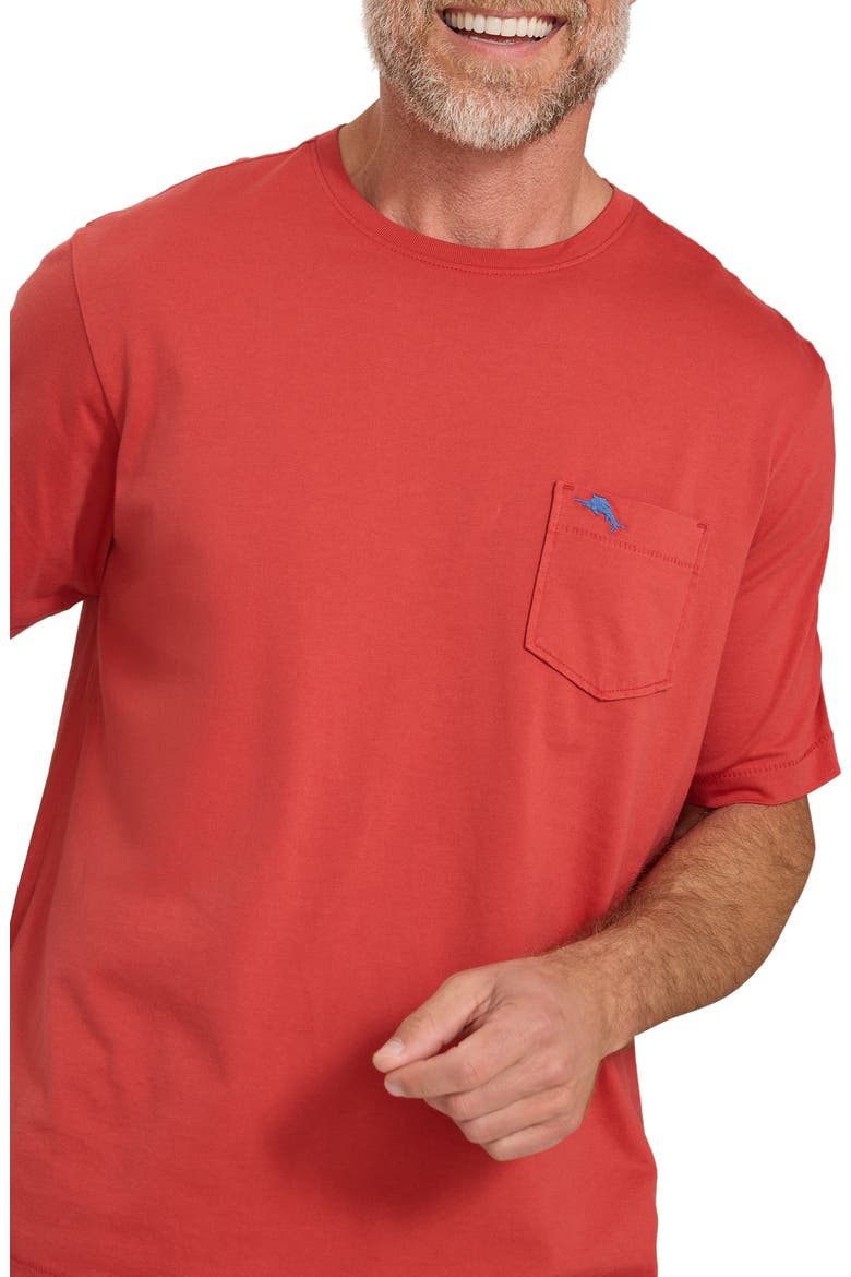 New Bali Sky Original Fit Pocket T-Shirt, Main, color, BAKED APPLE