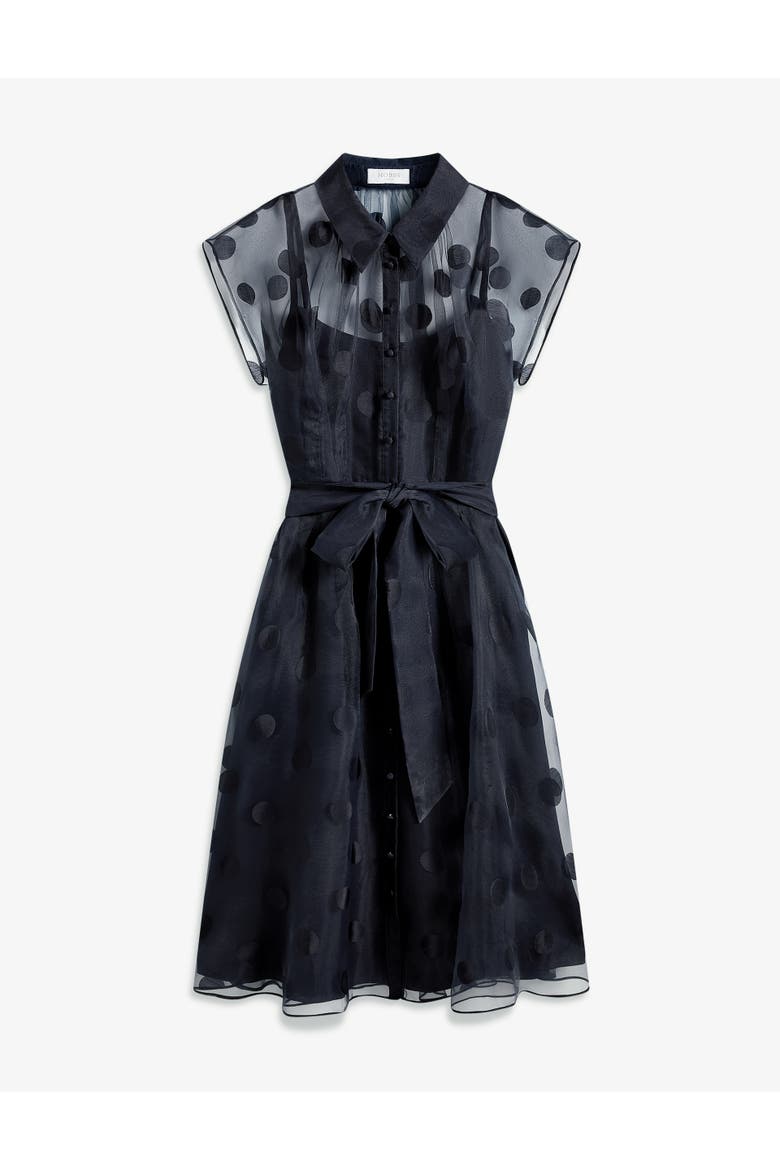 Tess Sheer Polka Dot Shirt Dress, Alternate, color, Midnightnavy