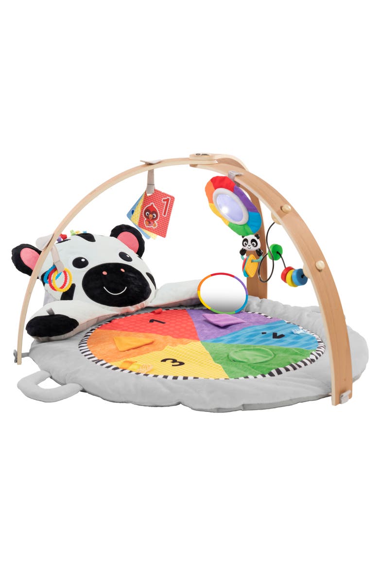 Baby Einstein Zen's Activity Milestones Plush Gym, Main, color, 