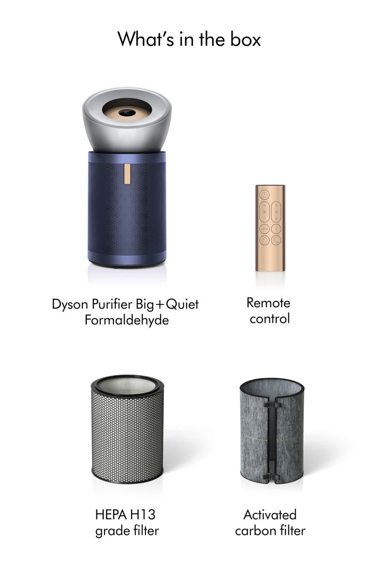 Dyson Purifier Big + Quiet Formaldehyde Eliminator BP03, Alternate, color, 
