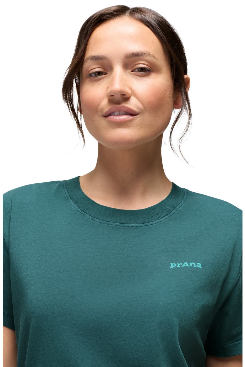 Everyday Sundown Graphic T-shirt, Alternate, color, COAST