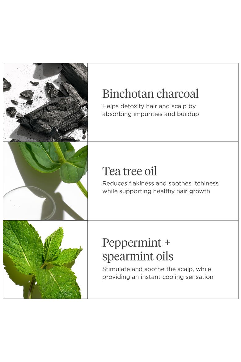 Scalp Revival™ Charcoal + Tea Tree Cooling Hydration Mask for Dry, Itchy Scalp, Alternate, color, NO COLOR