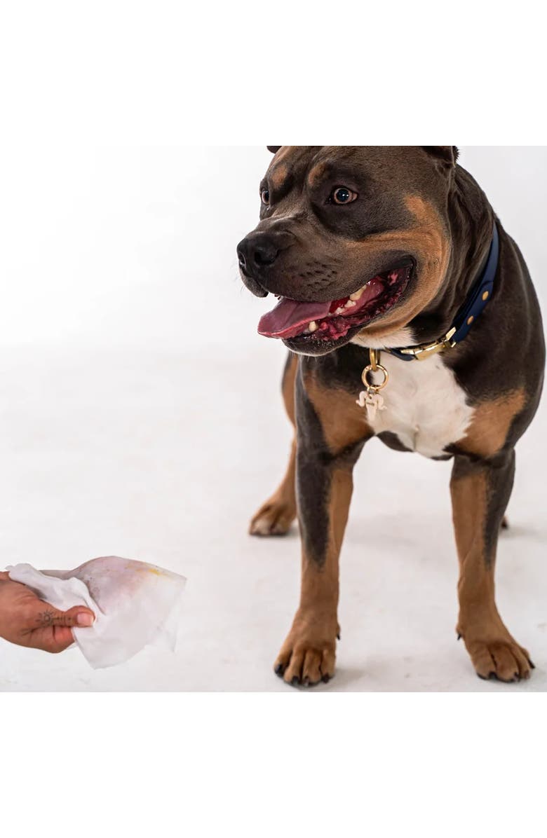 Dexypaws Pet Wipes 200Ct Canister For Grooming Care, Alternate, color, White