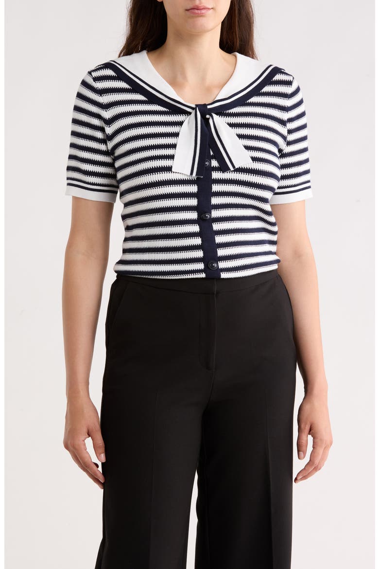 Stripe Shawl Collar Short Sleeve Sweater, Main, color, IVORY/ NAVY