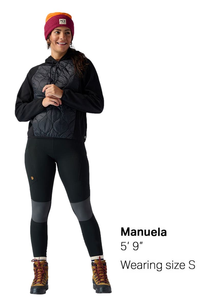 Backcountry Insulated Hoodie - Women's, Alternate, color, Black