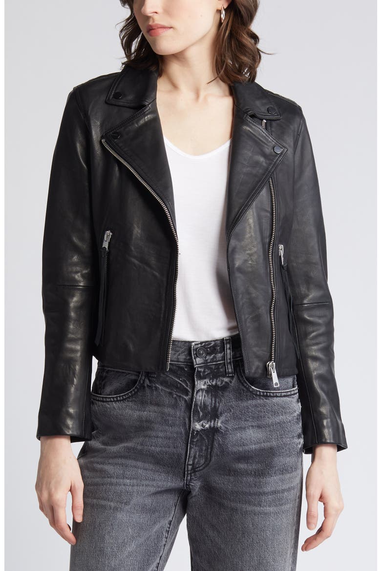 Dalby Leather Biker Jacket, Alternate, color, BLACK/ SILVER