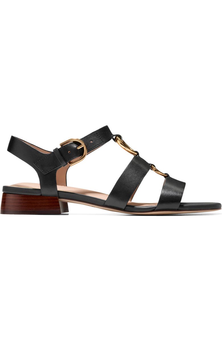 Cole Haan Lyanna Link Slingback Sandal, Alternate, color,