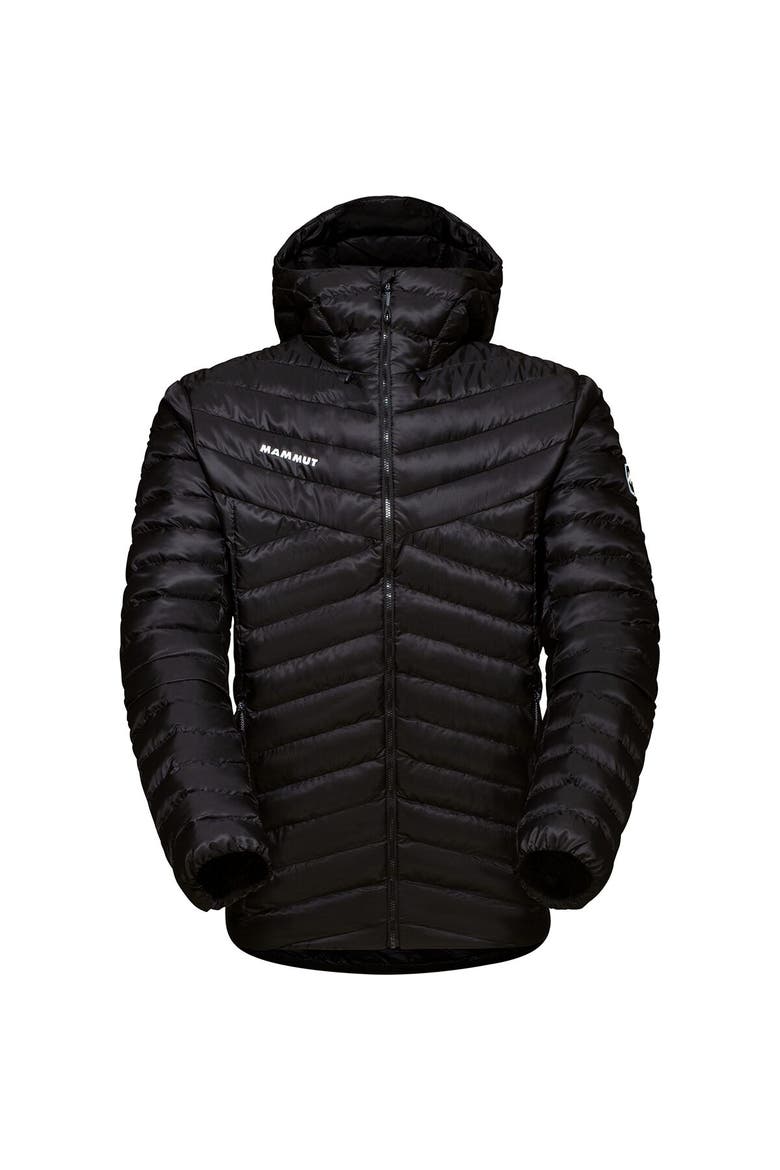 Albula In Hooded Jacket - Men's, Alternate, color, Black