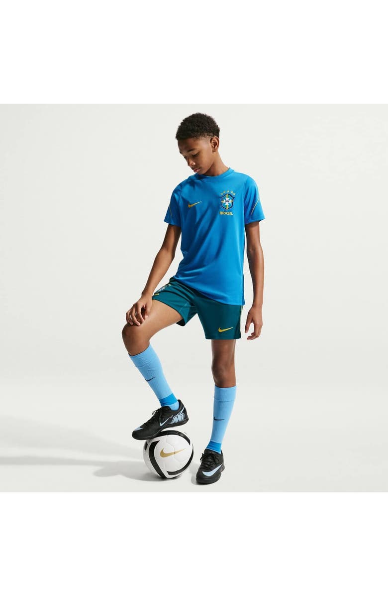 Nike Youth Nike Blue Brazil National Team 2026 Strike Dri-FIT Top, Main, color, Blue