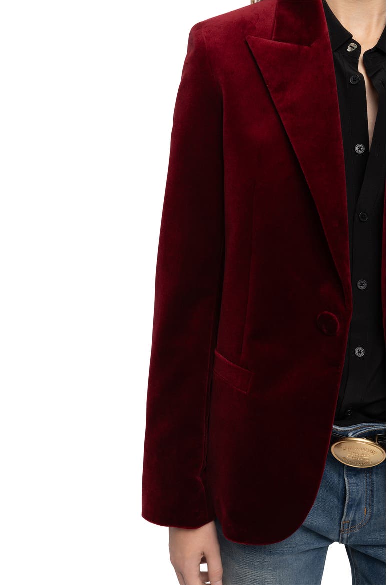 Vavy Velvet Blazer, Alternate, color, CHERRY