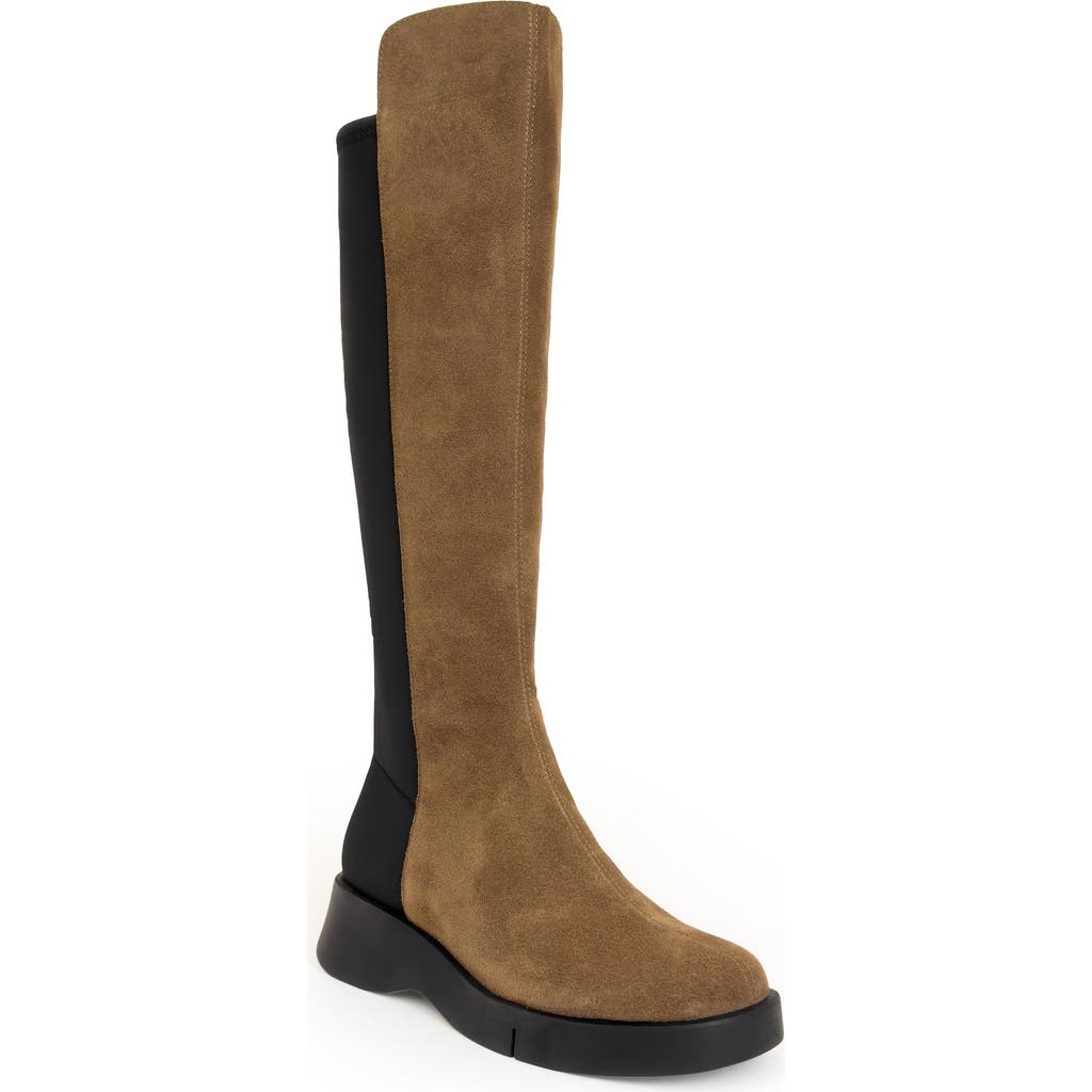 Aerosoles Flavia Knee High Boot In Multi