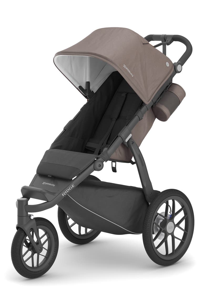 RIDGE All-Terrain Stroller, Main, color, THEO