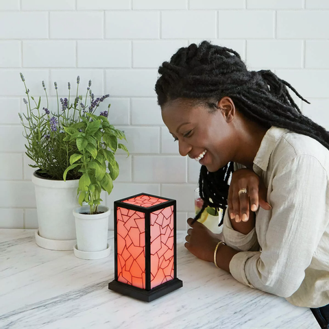 Long Distance Friendship Lamp by Technology for Humankind