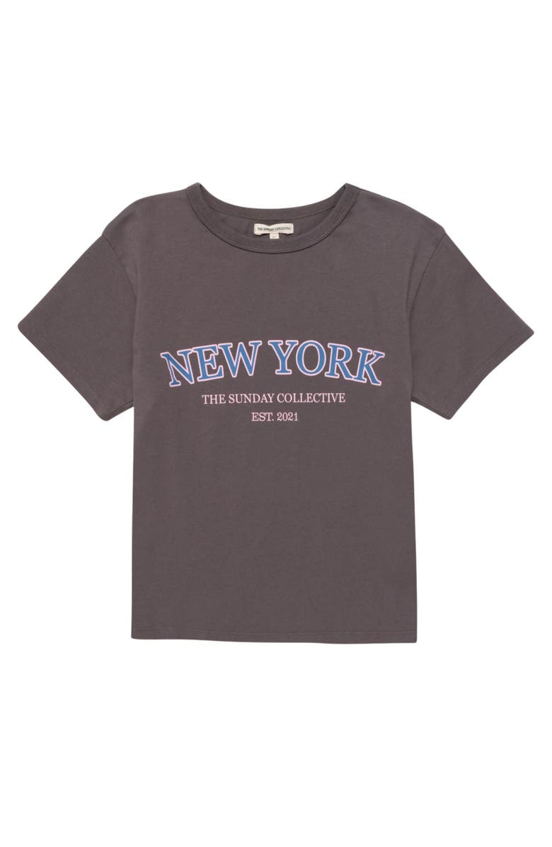 The Sunday Collective Organic Weekend Tee, Main, color, Midnight Slate