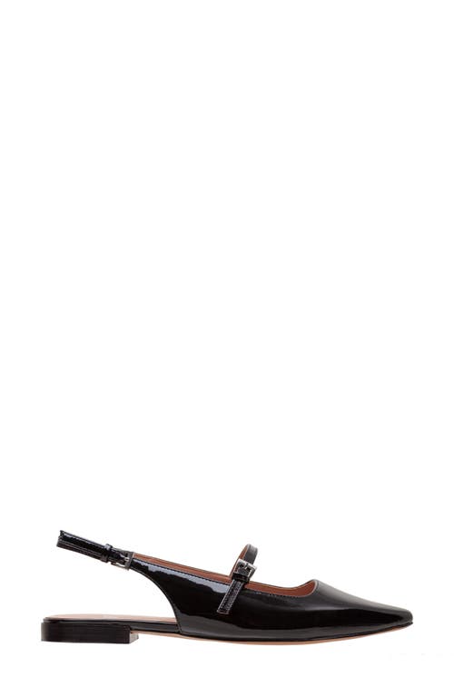 Linea Paolo Celeste Slingback Pointed Toe Flat In Black