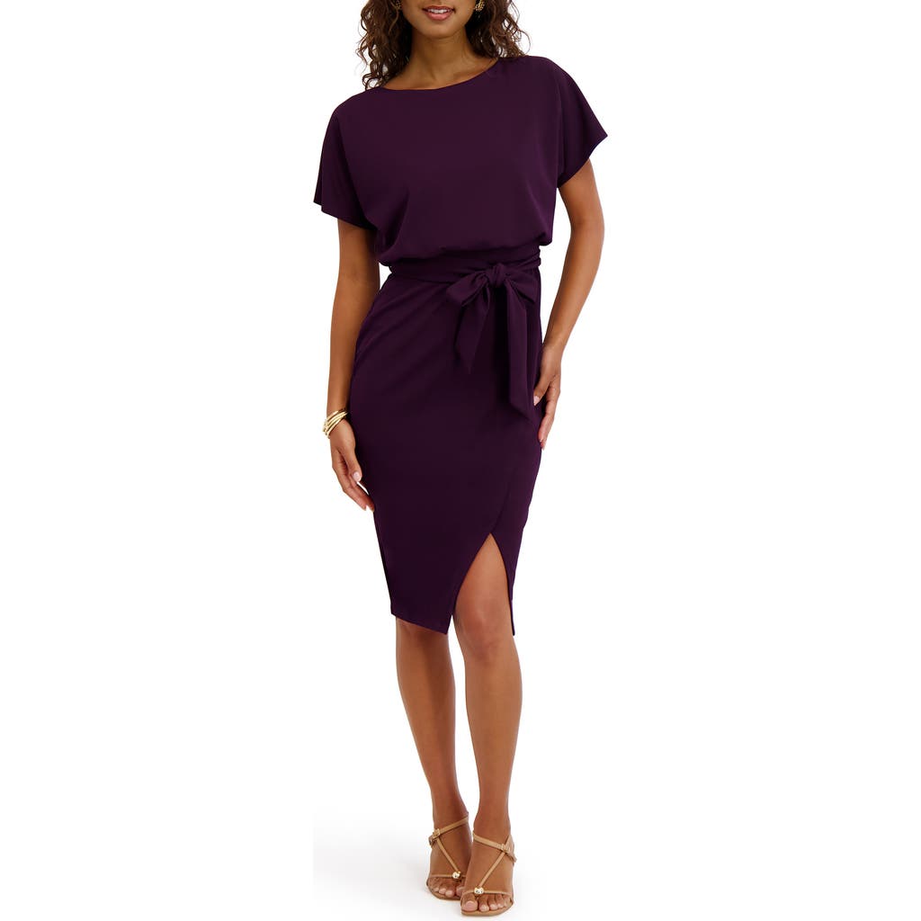 Kensie Tie Front Blouson Dress In Purple
