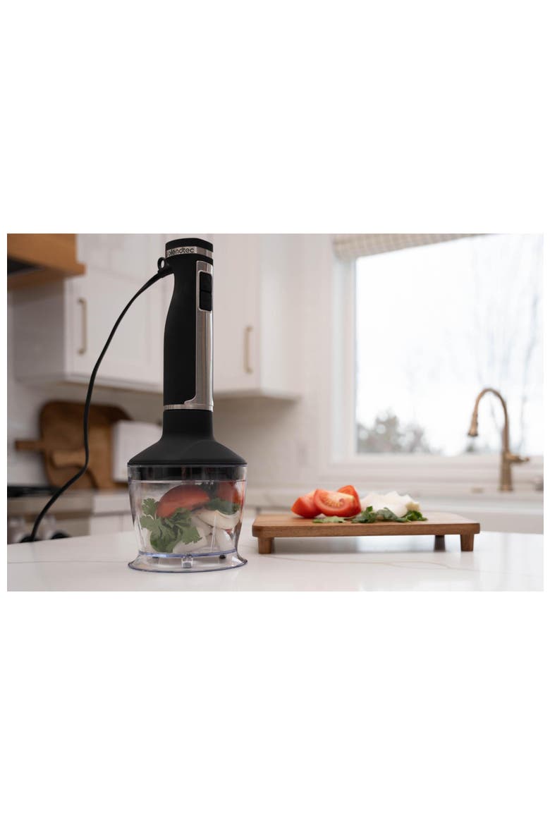 Immersion Hand Blender - Blender, Mixer and Food Processor - 3 in 1 Kitchen All Purpose Tool, Alternate, color, Metallic Silver