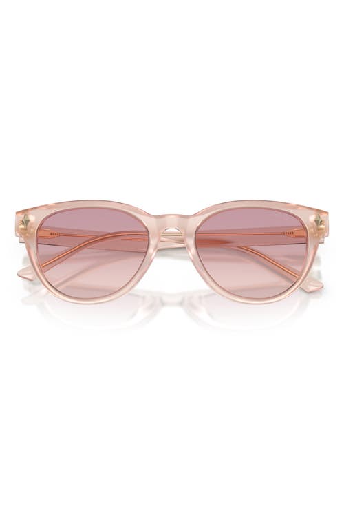 Jimmy Choo Trace 53mm Phantos Sunglasses
