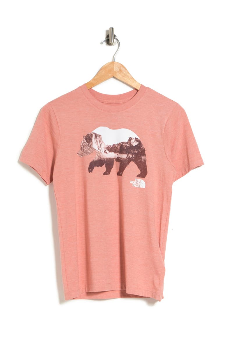 The North Face Bearinda Graphic T-Shirt, Alternate, color, 