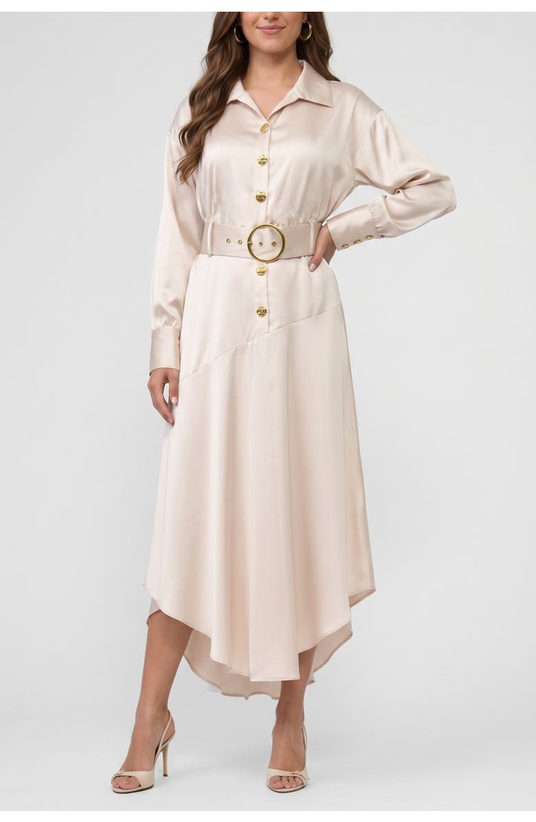RACHEL Rachel Roy Gilian Long Sleeve Satin Shirt Dress, Main, color, Light Silver Grey