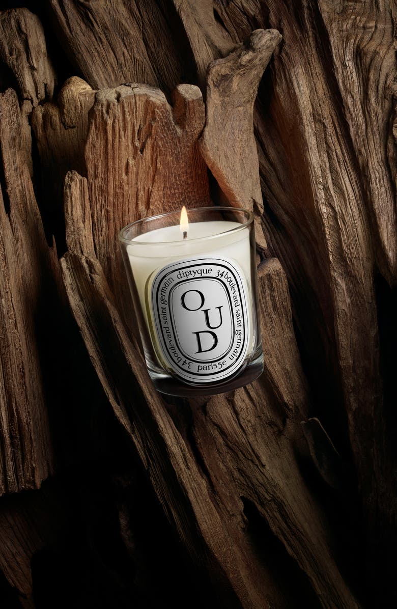Diptyque Oud Classic Candle, Alternate, color, 