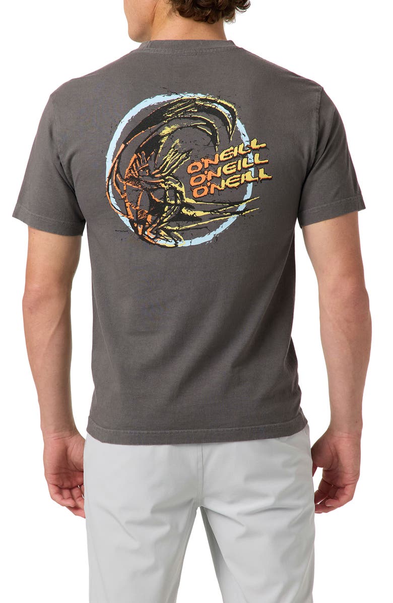O'Neill Circle Freak Boxy Cotton Graphic T-Shirt, Alternate, color, Grey Mineral