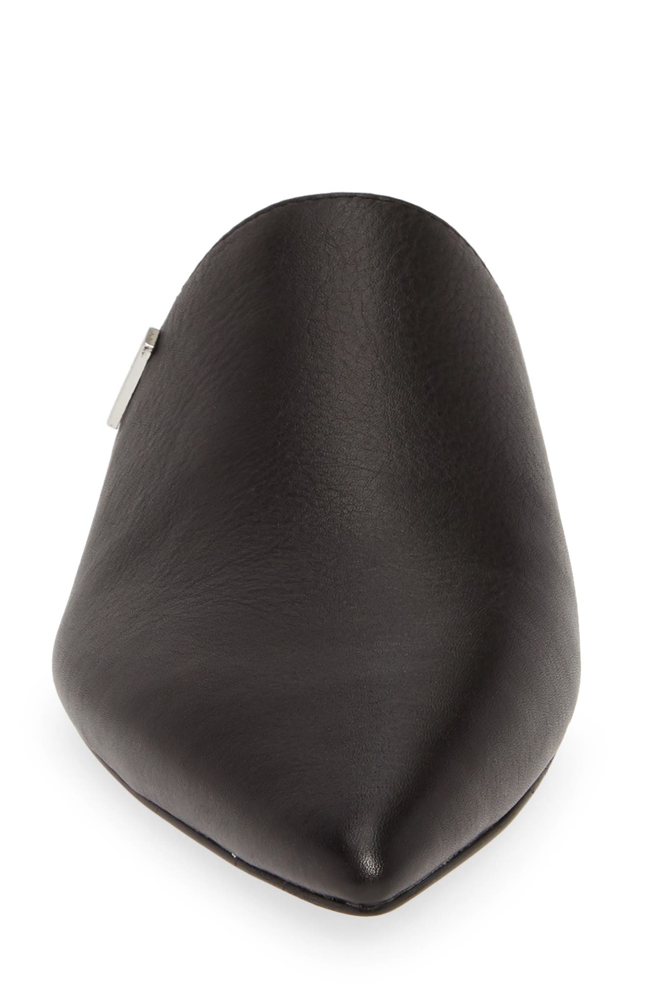 Calvin Klein Chantalia Pointy Toe Mule, Alternate, color, 