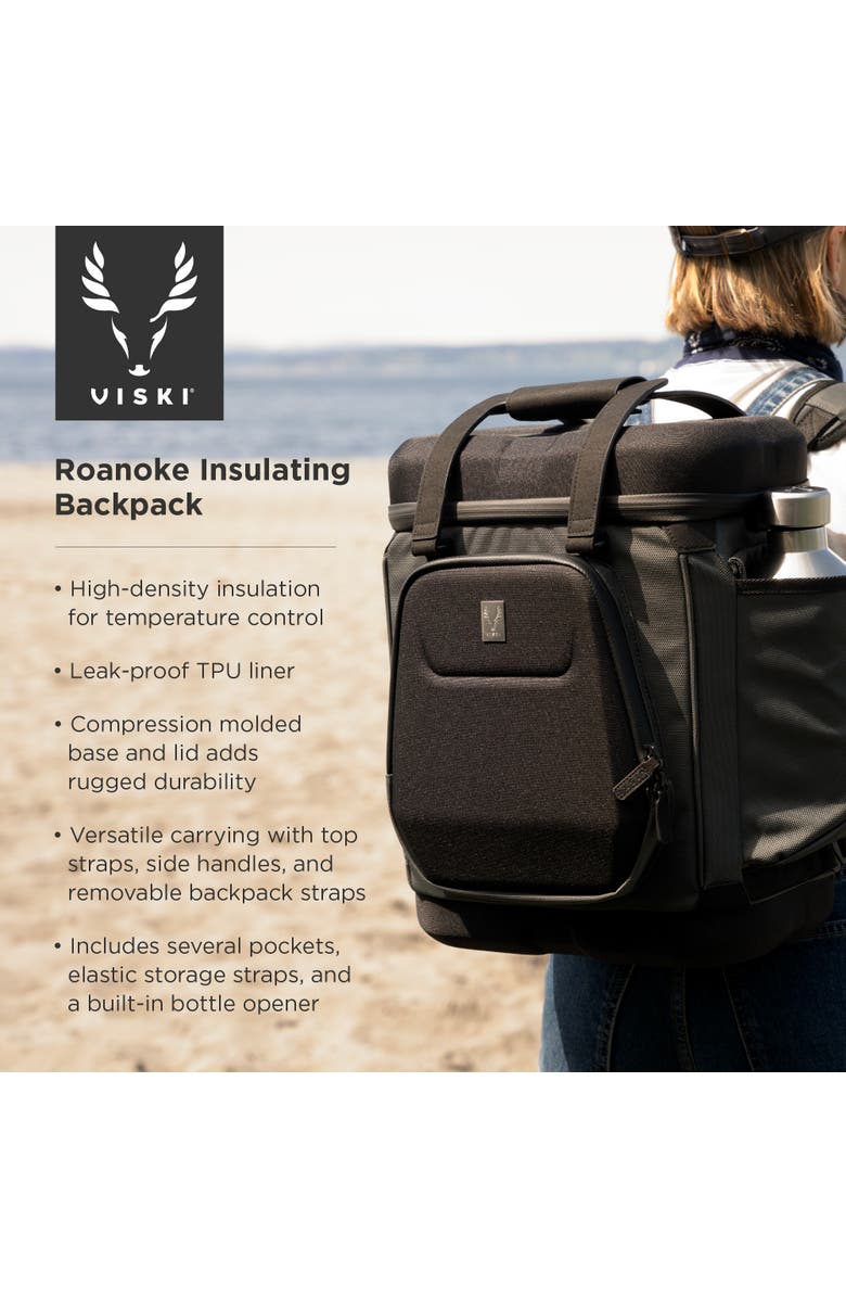 Viski Roanoke Insulating Backpack in Black, Alternate, color, Black