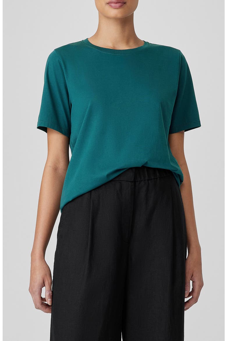 Crewneck Organic Cotton Jersey Top, Main, color, AEGEAN