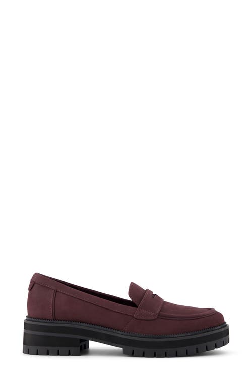 Toms Cara Platform Leather Penny Loafer In Purple