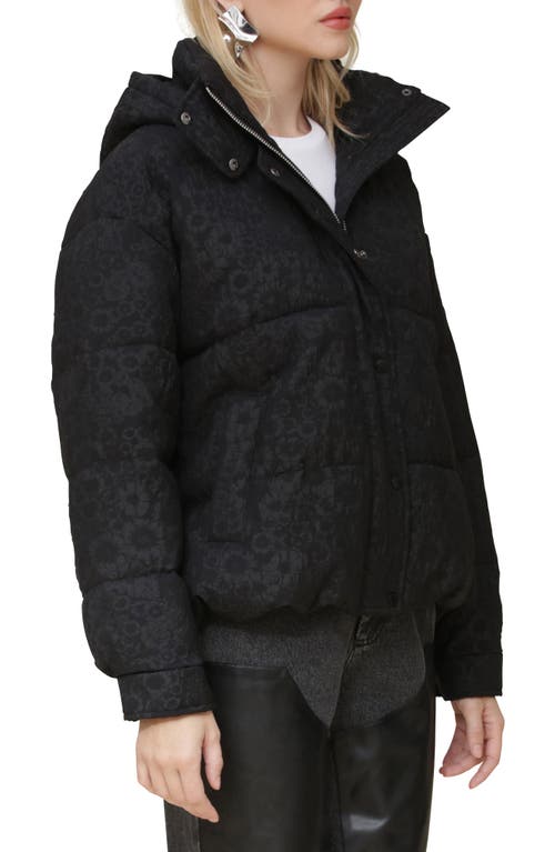 Shop Avec Les Filles Hooded Puffer Jacket In Black