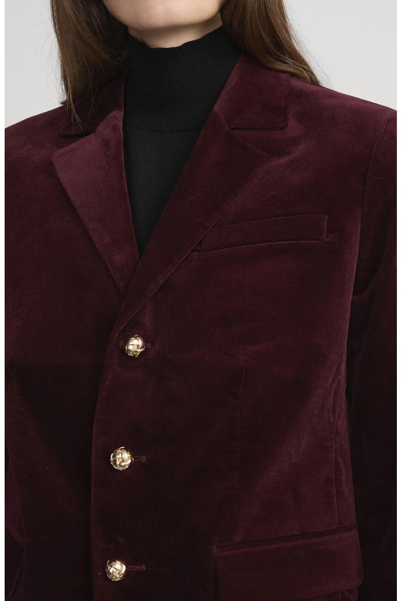 The Velvet Smart Blazer, Alternate, color, CABERNET