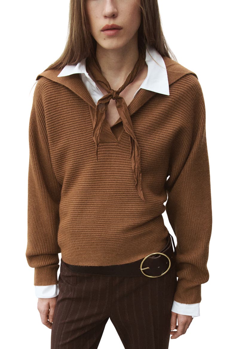 Rib Johnny Collar Sweater, Main, color, TOBACCO BROWN