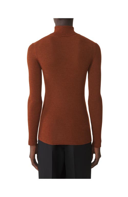 Lanvin Turtleneck Sweater In Merino Wool And Silk In Brown