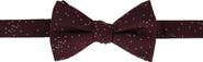 Trafalgar Mystere Metallic Star Light Silk Bow Tie