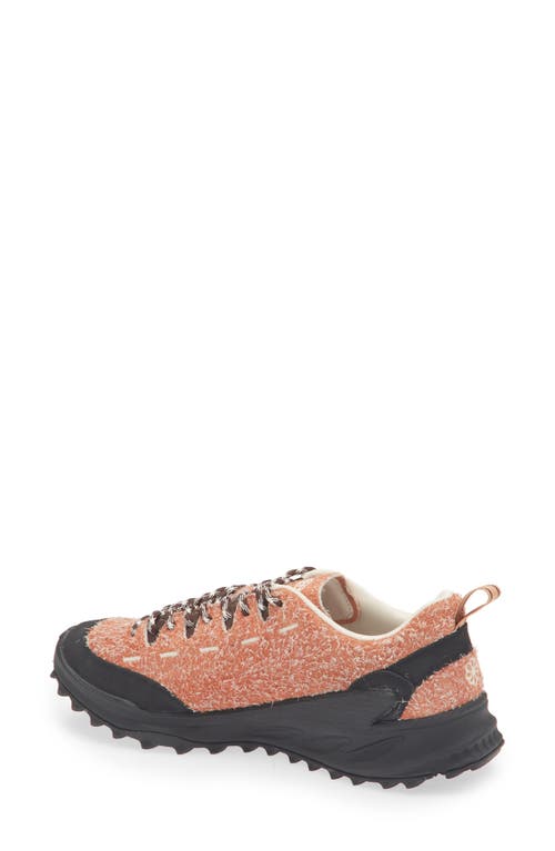 Keen Jasper Zionic Hiking Sneaker In Multi