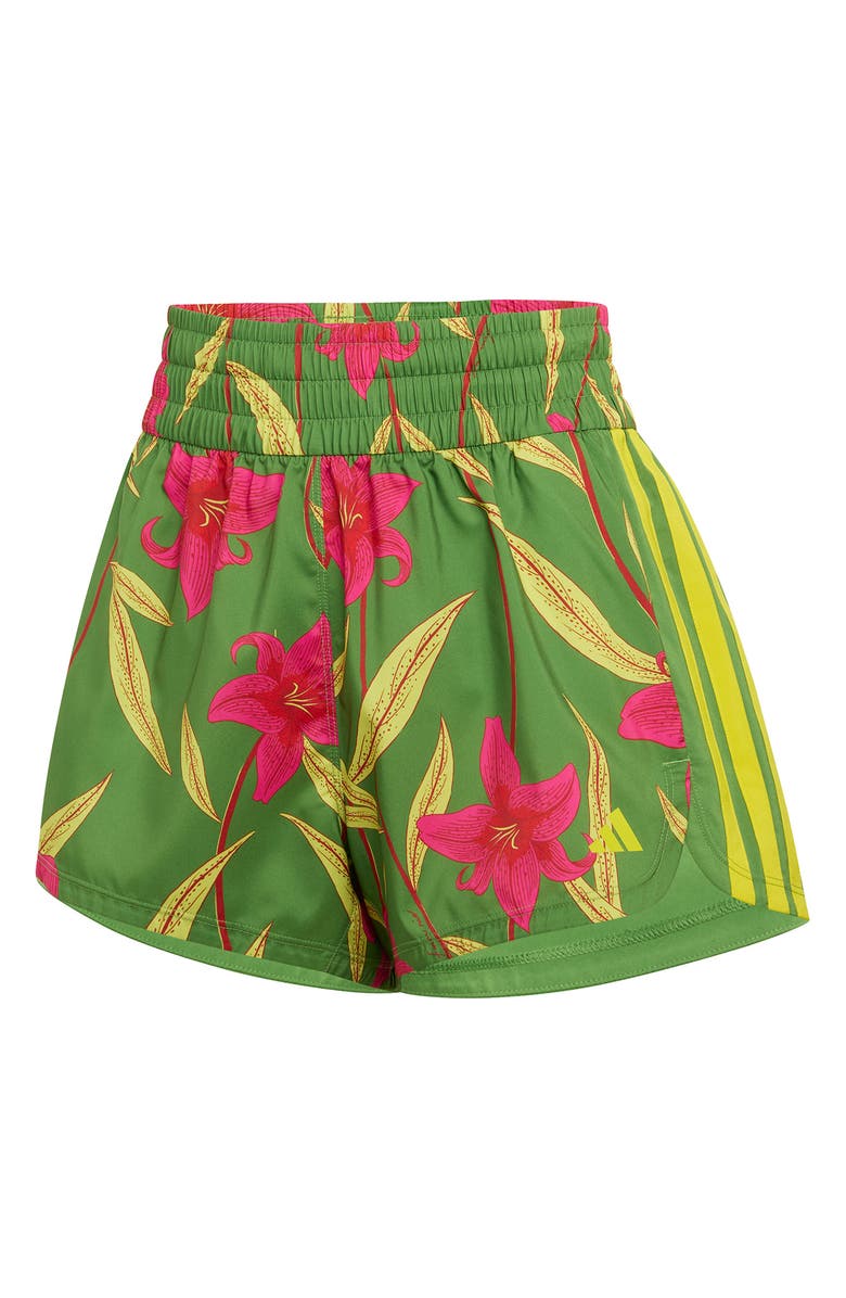adidas x FARM Rio Pacer Shorts, Alternate, color, Crew Green/ Magenta/ Lime