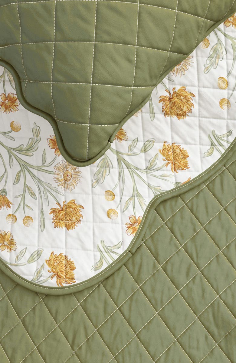 Woven & Weft Floral Scalloped Cotton Quilt & Sham Set, Alternate, color, 