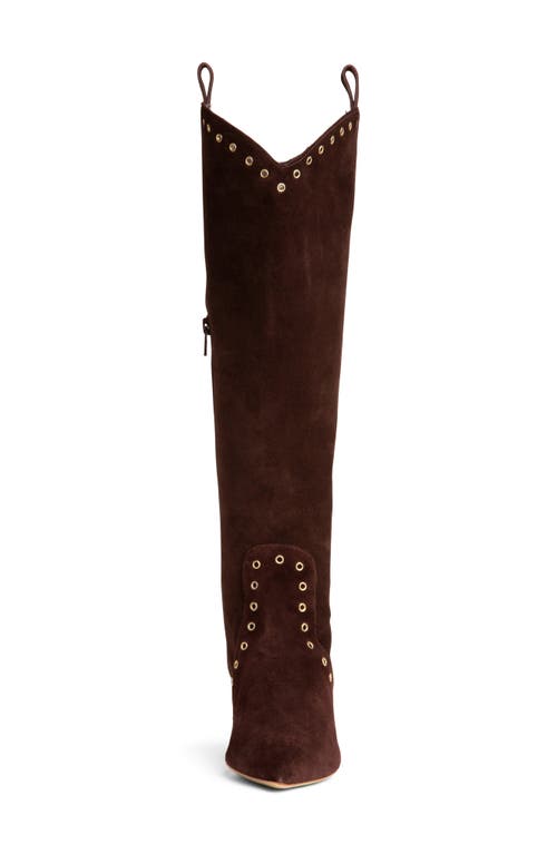 Beautiisoles Vanessa Pointed Toe Tall Boot In Brown