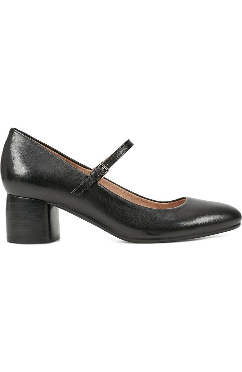 Earth<sup>®</sup> Rumer Mary Jane Pump, Alternate, color, Black