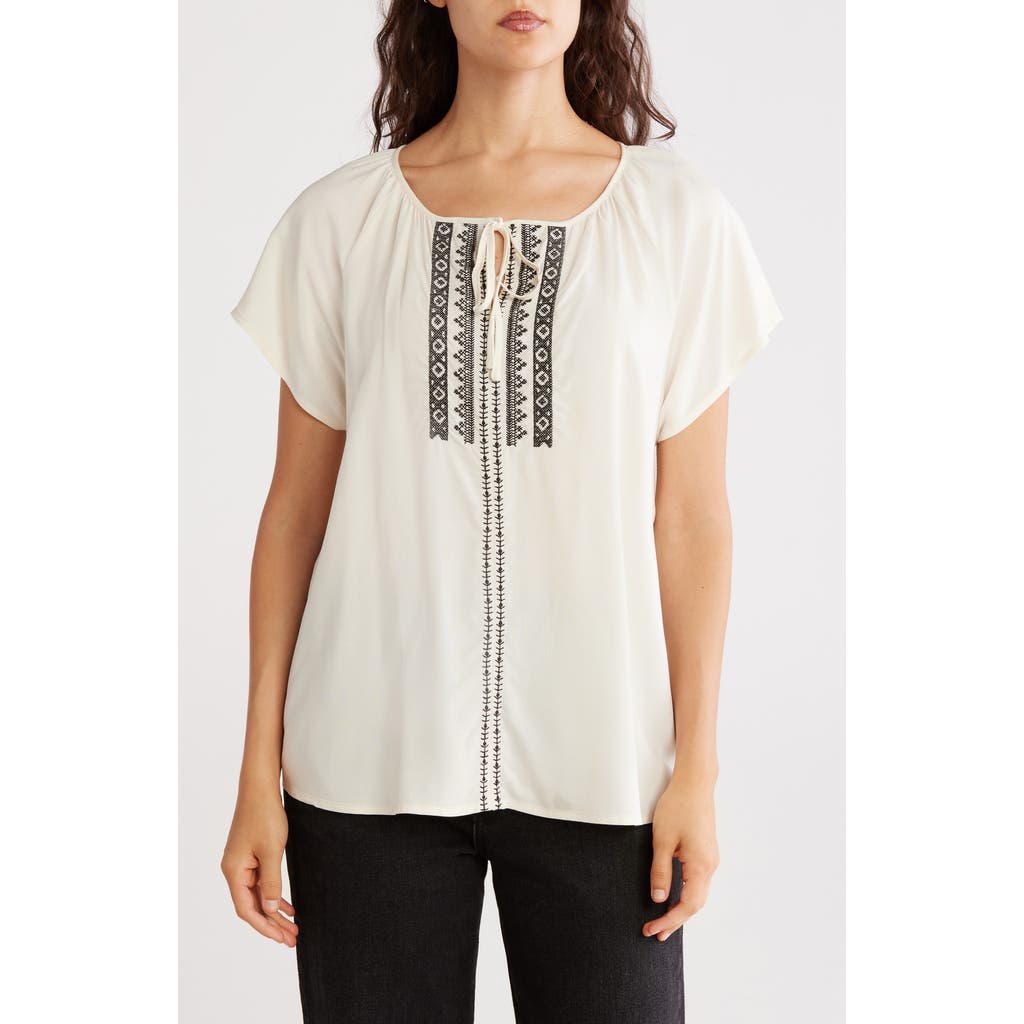 Chelsea And Theodore Golden Dream Embroidered Short Sleeve Top In Multi
