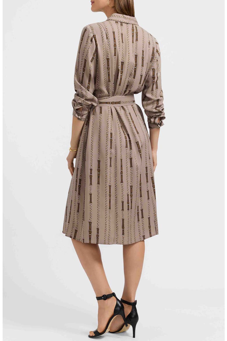 Fiona Chain Stripe Belted Shirtdress, Alternate, color, BROWN MULTI