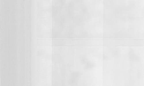 Dainty Home Sheer Set Of 2 Panel Curtains In White