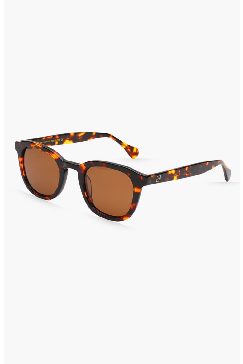 JB Round Polarized Sunglasses, Alternate, color, Tortoise Shell