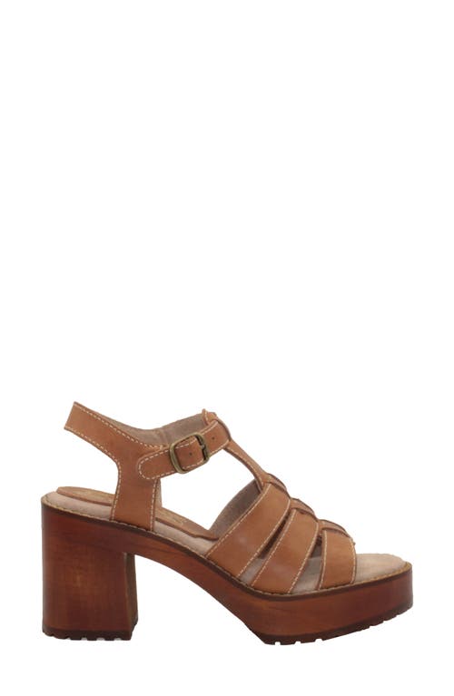 Sbicca Oakdale Clog Sandal In Brown