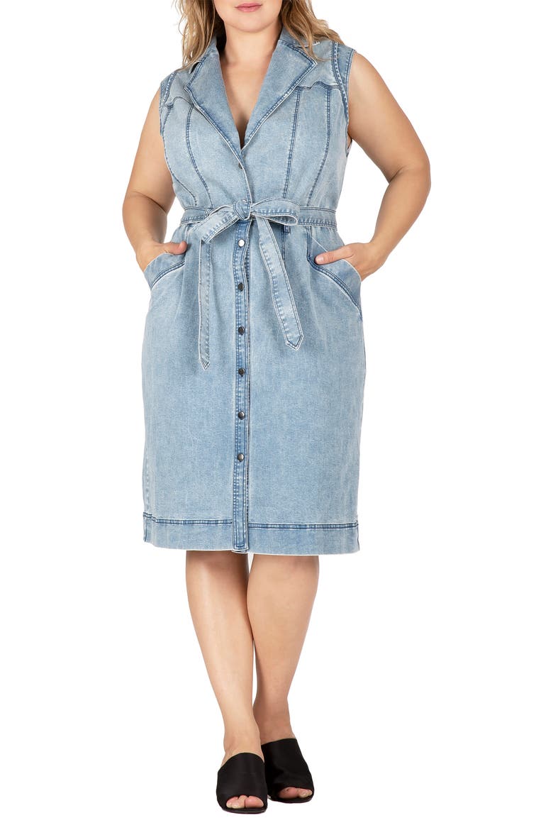 Sleeveless Tie Waist Denim Dress, Alternate, color, BLUESTONE